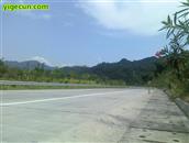 古东村 我家对面的马梧高速公路