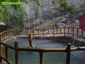马石片村 在山上还可以享受喷泉带给你的清爽一夏的感觉！