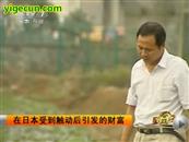 肖庄村 中央七套CCTV7 军事 农业 肖文东