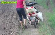 潭上村 一位大姐 骑电瓶车 拖了一代肥料 应该是去给庄家施肥