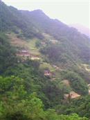 湖北省,十堰市,竹山县,文峰乡,东钦村