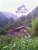 湖北省,十堰市,竹山县,文峰乡,东钦村