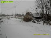 竹墩村 村里2010年2月的雪，过年的时候哦