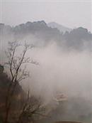 四川省,宜宾市,屏山县,龙溪乡,民和村