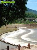 四川省,宜宾市,屏山县,龙溪乡,民和村