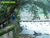 四川省,宜宾市,屏山县,龙溪乡,民和村