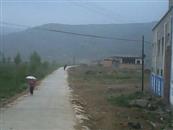 甘肃省,天水市,秦安县,陇城镇,王湾村