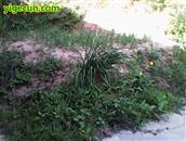 甘肃省,天水市,武山县,龙台乡,贾山村