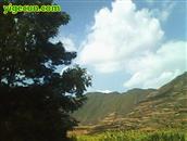 甘肃省,天水市,武山县,龙台乡,贾山村