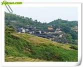 福建省,南平市,延平区,洋后镇,后坪村