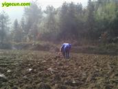 湖南省,湘西州,龙山县,洗车河镇,克洞村