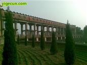 河南省,周口市,沈丘县,老城镇,李坟村