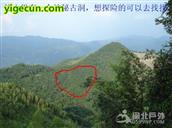 福建省,南平市,延平区,洋后镇,后坪村