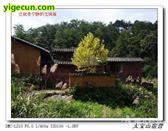 福建省,南平市,延平区,洋后镇,后坪村