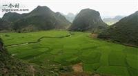 贵州省,黔南州,惠水县,芦山镇,花鱼村