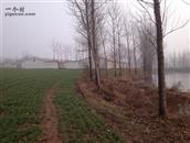 河南省,驻马店市,汝南县,常兴镇,台子寺村