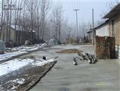 山东省,潍坊市,高密市,大牟家镇,西沟头村