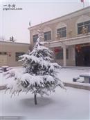 甘肃省,庆阳市,宁县,中村乡,苏韩村