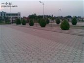 甘肃省,庆阳市,宁县,中村乡,苏韩村