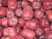 甘肃省,武威市,古浪县,干城乡,永丰台村