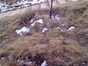 甘肃省,武威市,古浪县,干城乡,永丰台村