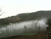 白石岩村 早上的浓雾！