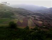 甘肃省,天水市,武山县,龙台乡,贾山村