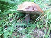 甘肃省,天水市,武山县,龙台乡,贾山村