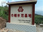 贵州省,六盘水市,水城区,都格乡,龙井村