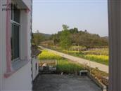 江西省,景德镇市,浮梁县,王港乡,墩口村