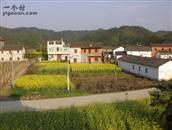 江西省,景德镇市,浮梁县,王港乡,墩口村