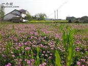 江西省,景德镇市,浮梁县,王港乡,墩口村