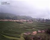 甘肃省,陇南市,礼县,草坪乡,湾里村