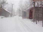 米湾村 下雪的时候