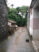 仙村 “仙村”里的小巷