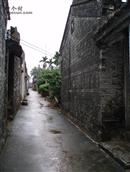 仙村 “仙村”里的小巷