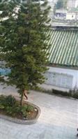 广东省,揭阳市,揭西县,金和镇,山湖村