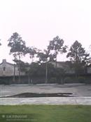 广东省,揭阳市,揭西县,金和镇,山湖村