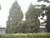 广东省,揭阳市,揭西县,金和镇,山湖村