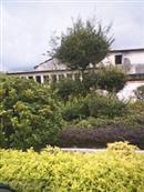 广东省,揭阳市,揭西县,金和镇,山湖村