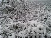 板屯村 陆地坪雪景
