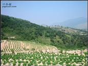 山东省,济宁市,邹城市,城前镇,北王村
