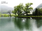 甘肃省,庆阳市,宁县,中村乡,秦店村