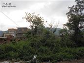 湖南省,永州市,宁远县,中和镇,老彰佳山村