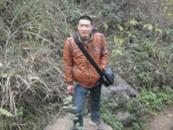 河南省,南阳市,淅川县,大石桥乡,刘家沟村