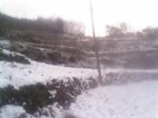 陕西省,安康市,汉滨区,五里镇,柿树村