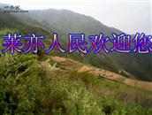 甘肃省,甘南州,舟曲县,拱坝乡,莱亦诺村