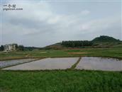 李宅相村 