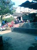 广西,贺州市,八步区,桂岭镇,草寺村