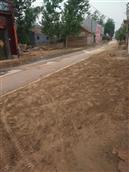 彭庙村 新修的水泥路